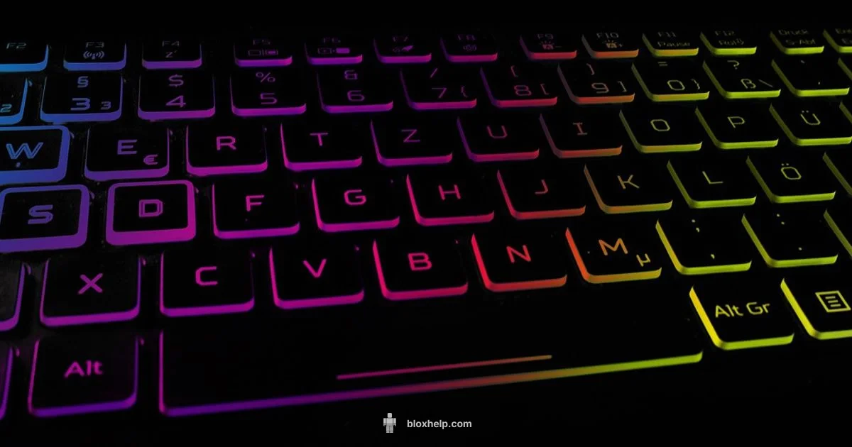 Roblox Setup Guide - Blox Help