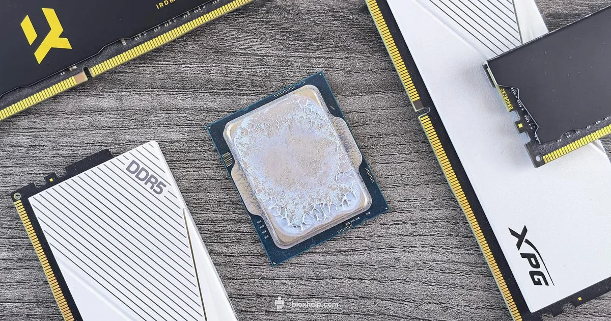 Roblox Hardware Guide - Blox Help