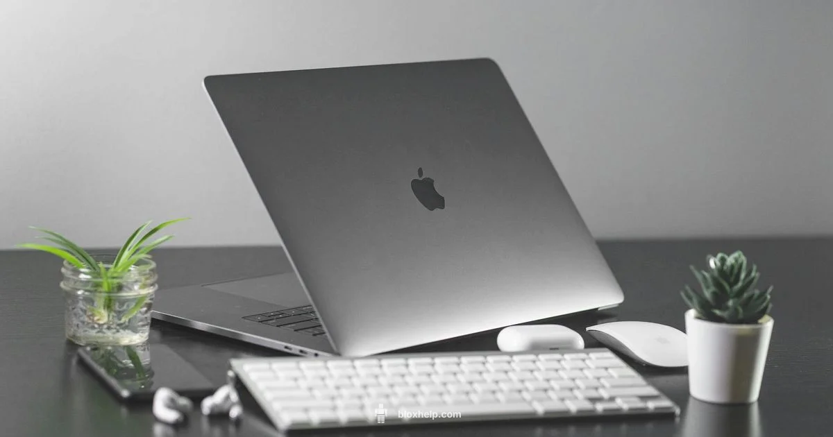 Roblox Laptop Guide - Blox Help