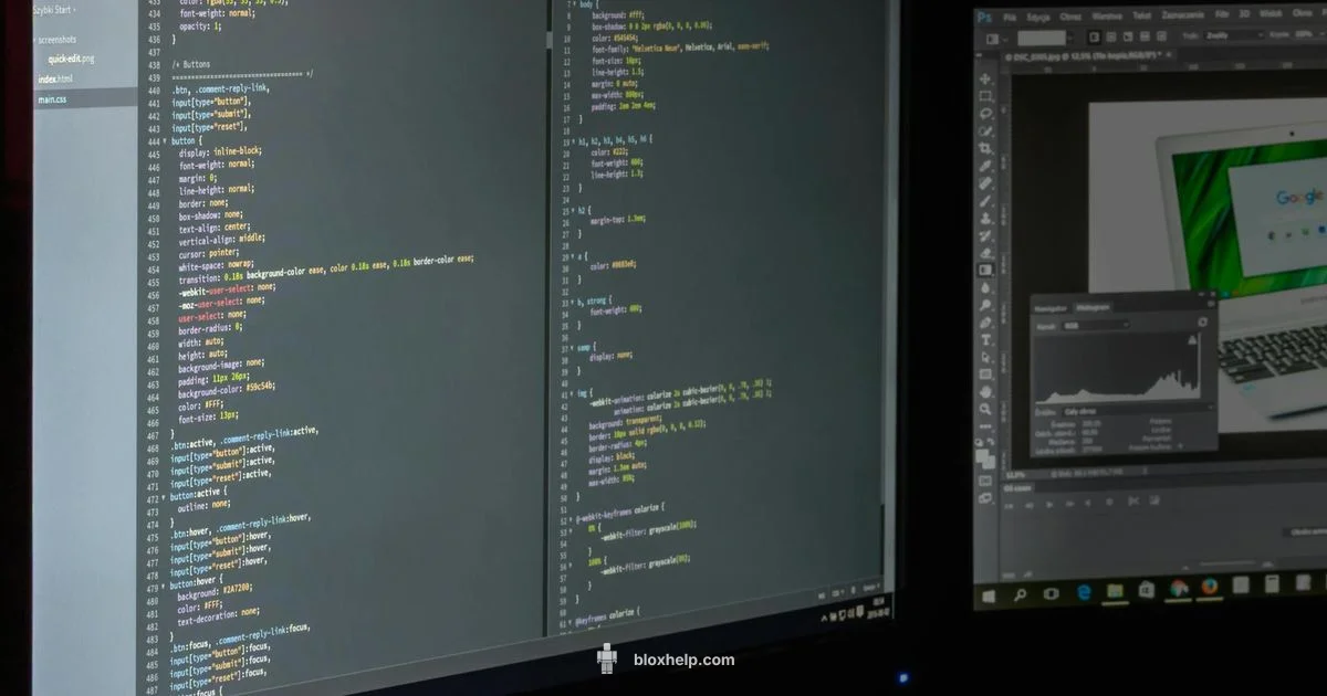 Beginner Studio Guide - Blox Help