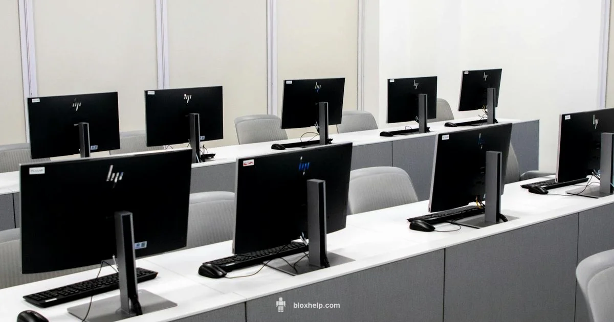 Roblox Learning Path - Blox Help