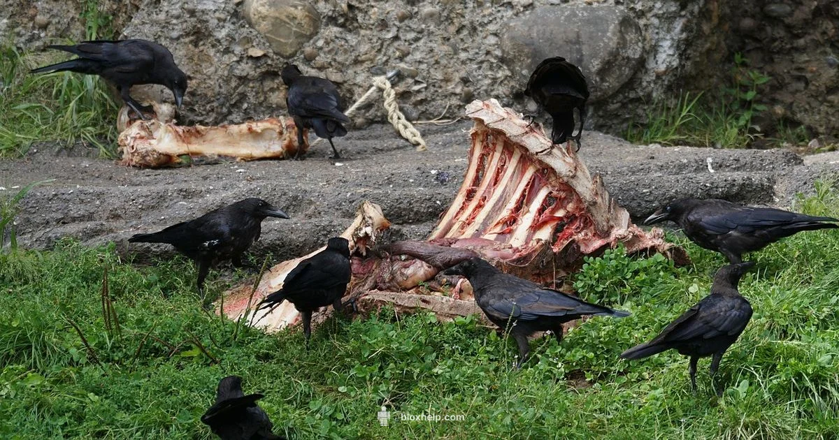 Hunt Mega Edition - Blox Help