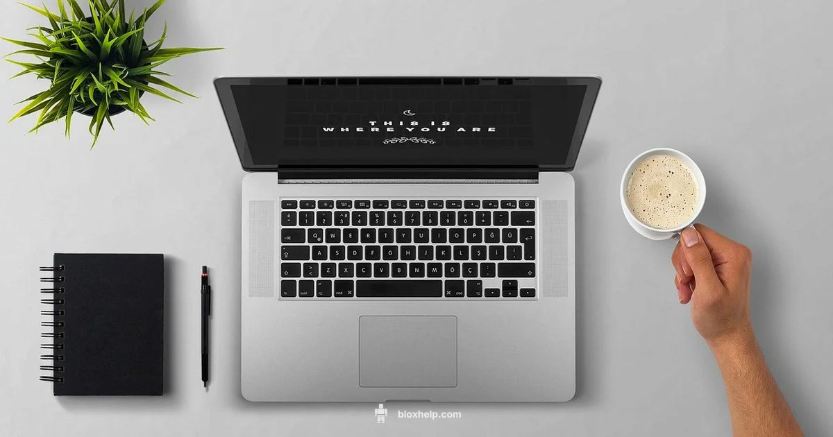 Password Recovery - Blox Help