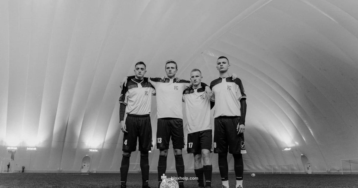 Roblox Player Stats - Blox Help