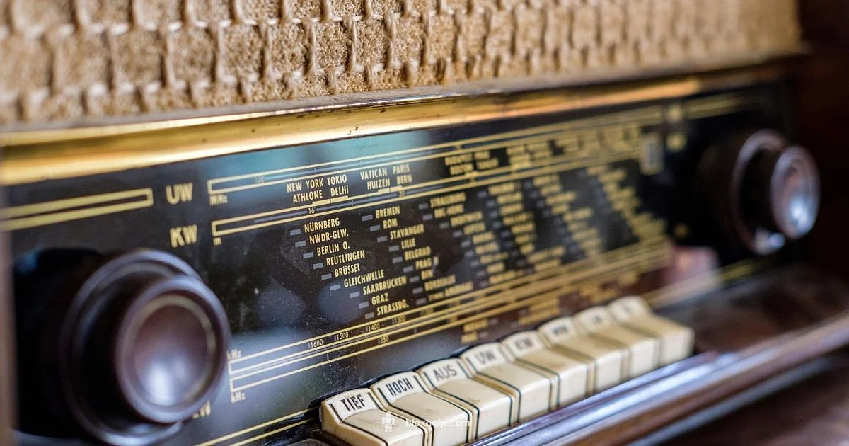 Radio ID Roblox - Blox Help