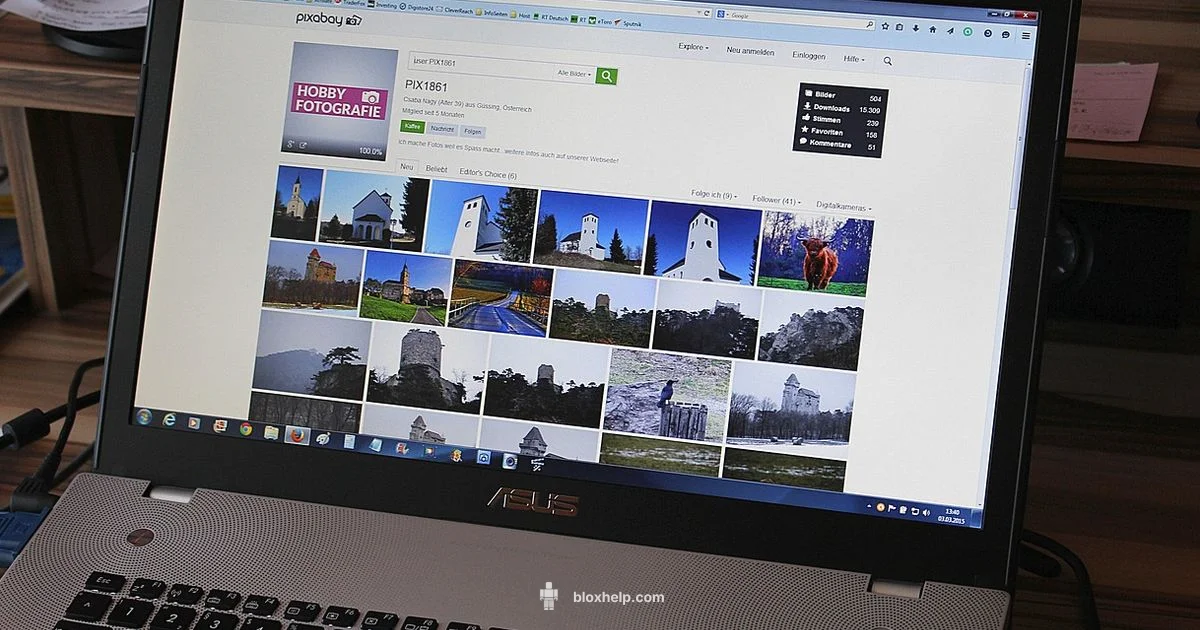 Roblox Website Basics Roblox Website Basics - Blox Help