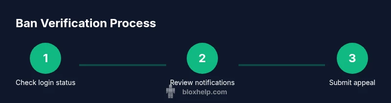 Process diagram of Roblox ban verification