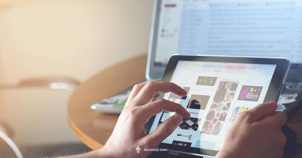 Robux Pricing Guide Robux Pricing Guide - Blox Help