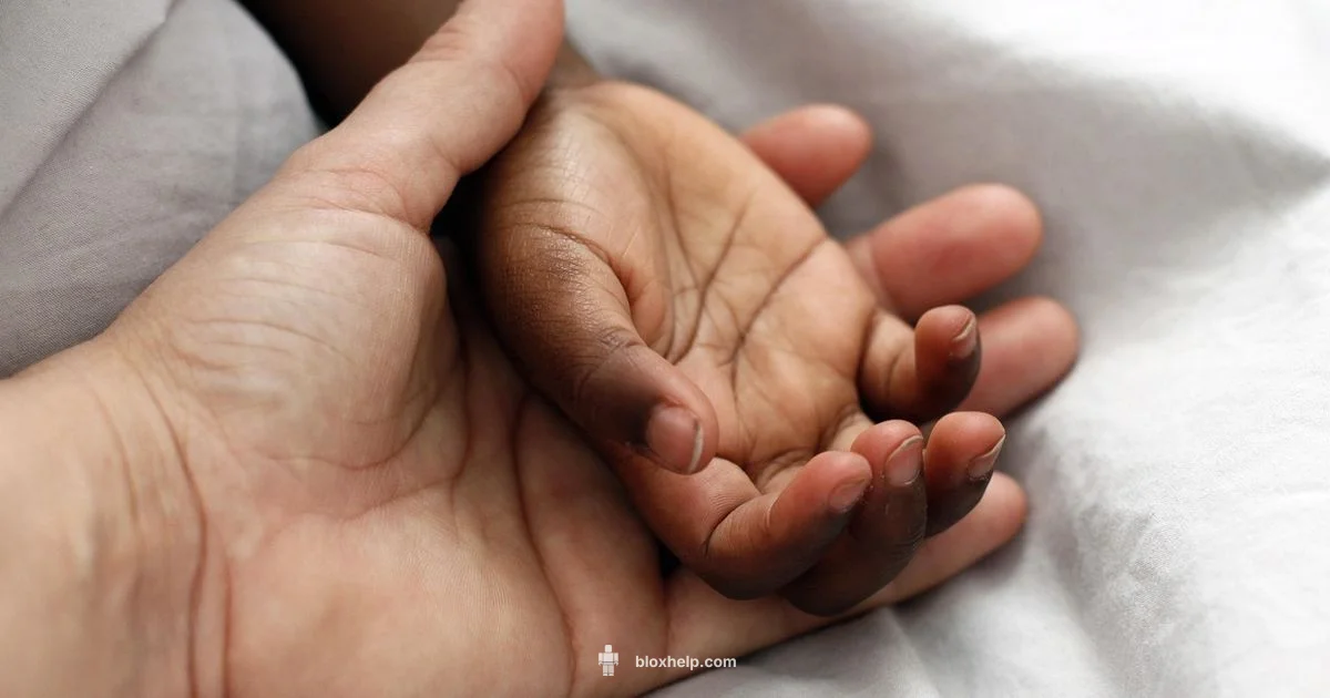 Traderie in Adopt Me - Blox Help