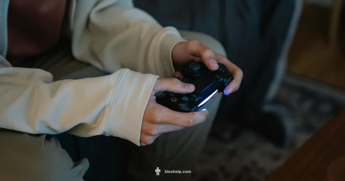 Roblox Player Defined - Blox Help