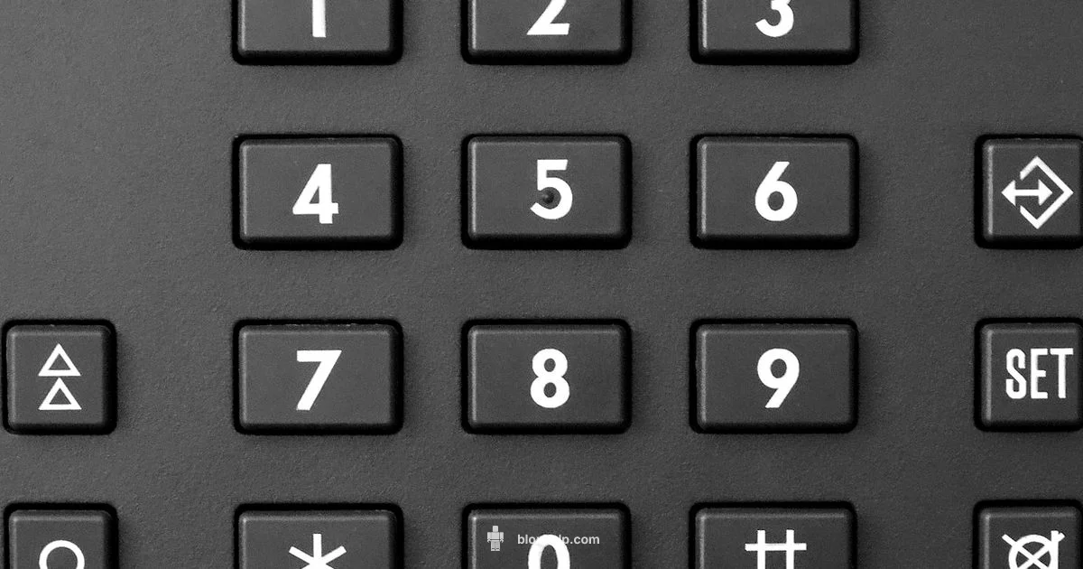 Phone Number for Voice Chat - Blox Help