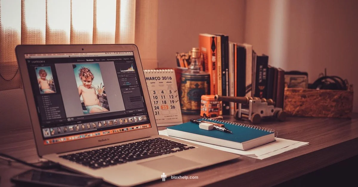 Roblox Category Guide - Blox Help