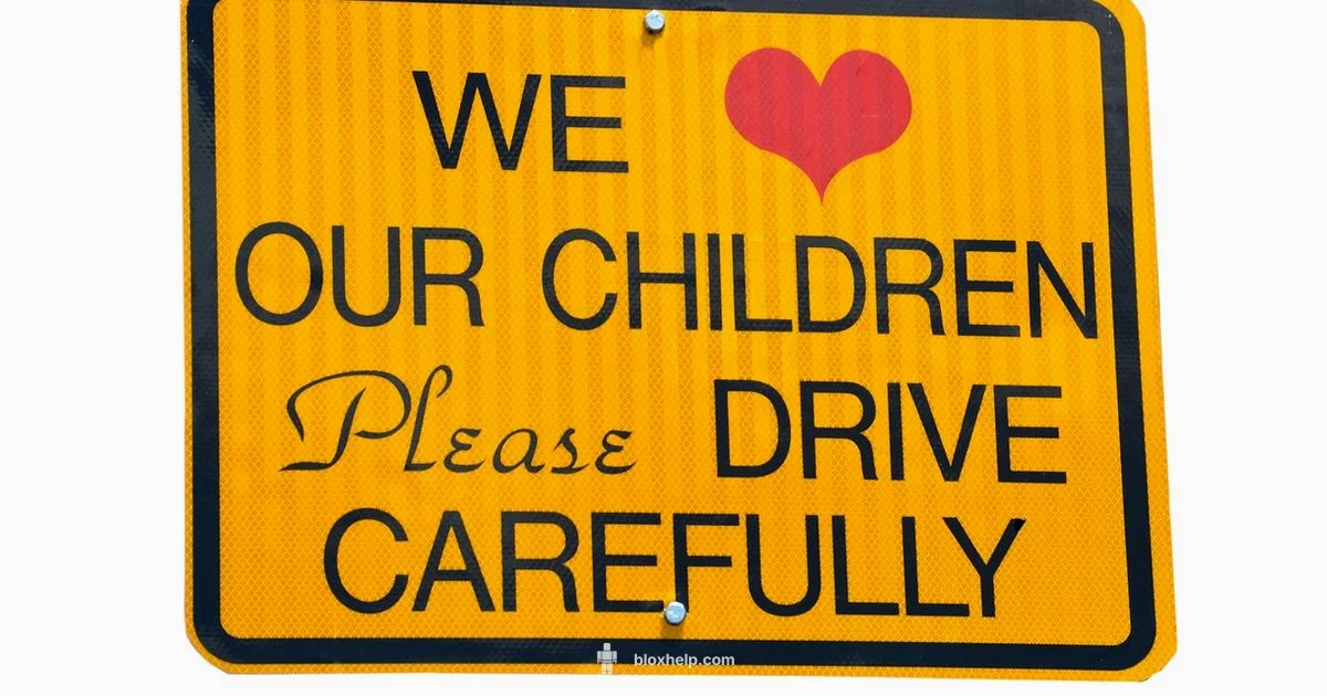 Safe Roblox Play - Blox Help