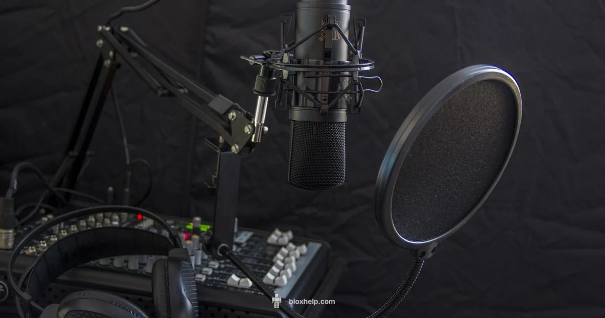 Roblox Microphone Setup Roblox Microphone Setup - Blox Help