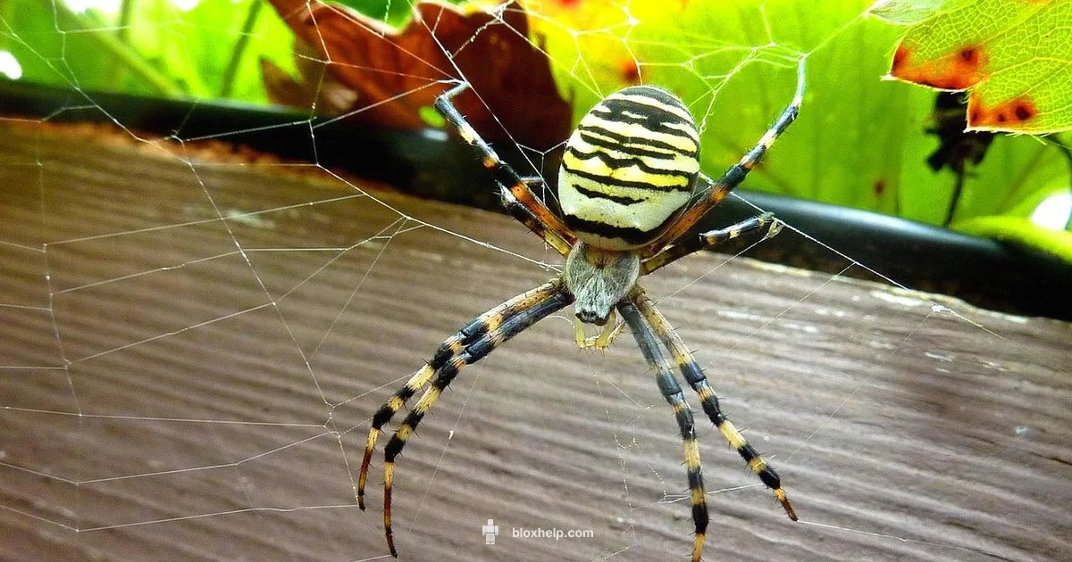 Create Roblox UGC Create Roblox UGC - Blox Help