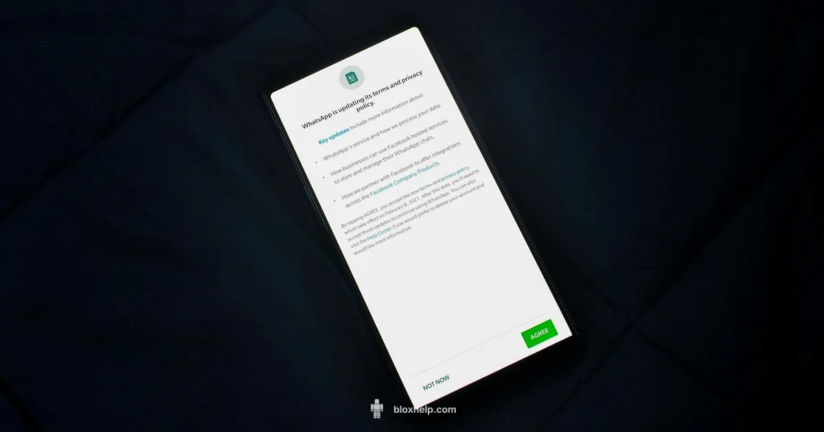 Roblox Privacy Guide - Blox Help