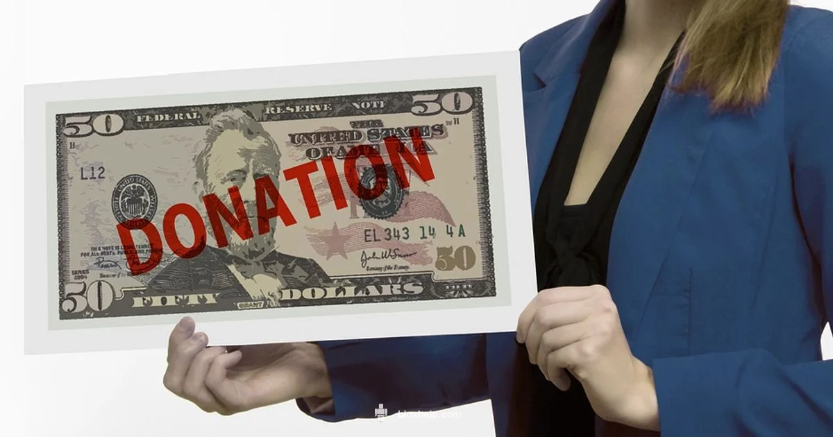 Donation Guide - Blox Help