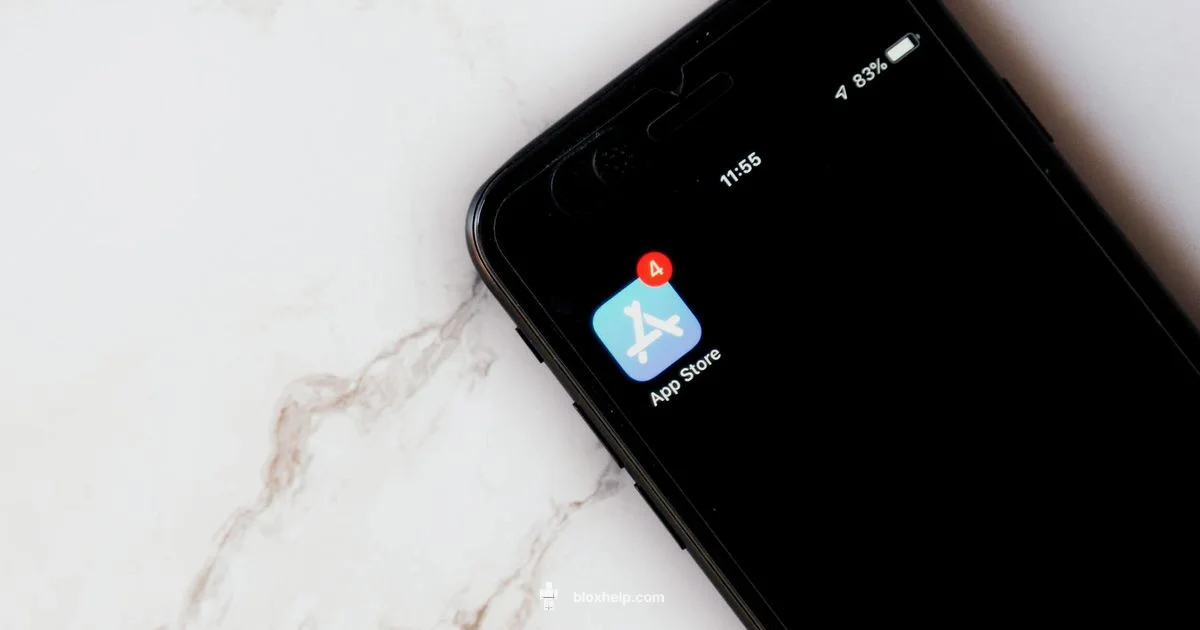 Update Timeline Guide - Blox Help