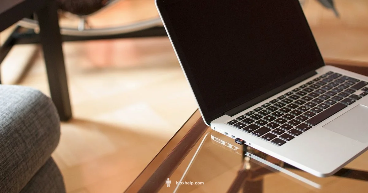 Reduce Roblox Latency - Blox Help