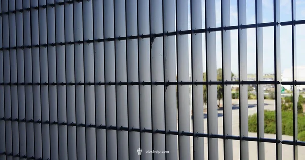 Roblox Access Guide - Blox Help