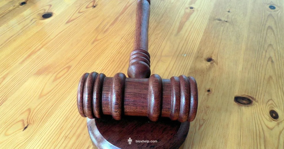 Verdict Update - Blox Help