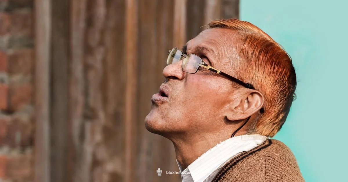 Funny Face Guide Funny Face Guide - Blox Help