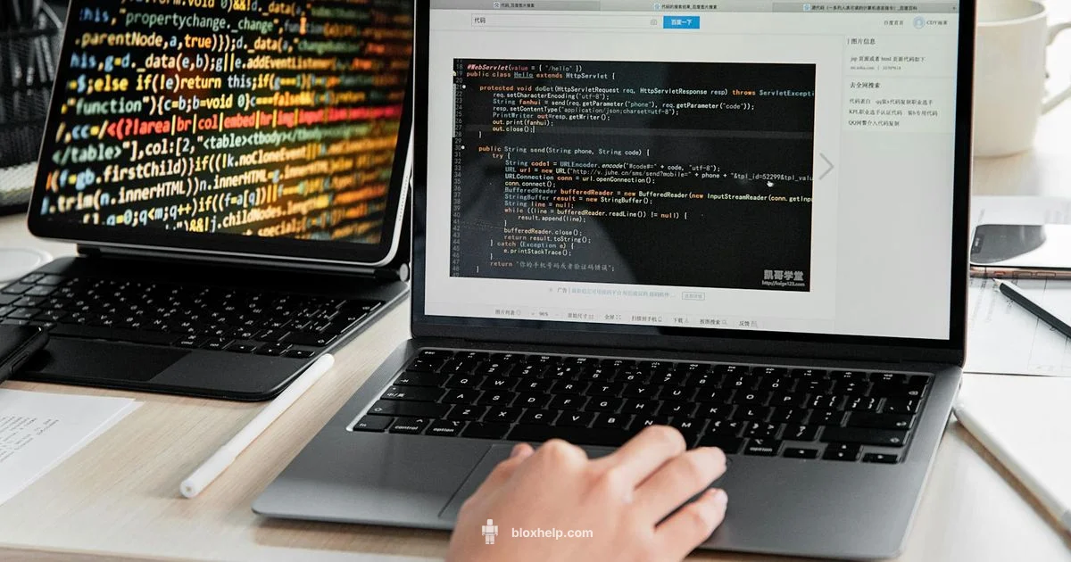 Luau Essentials - Blox Help