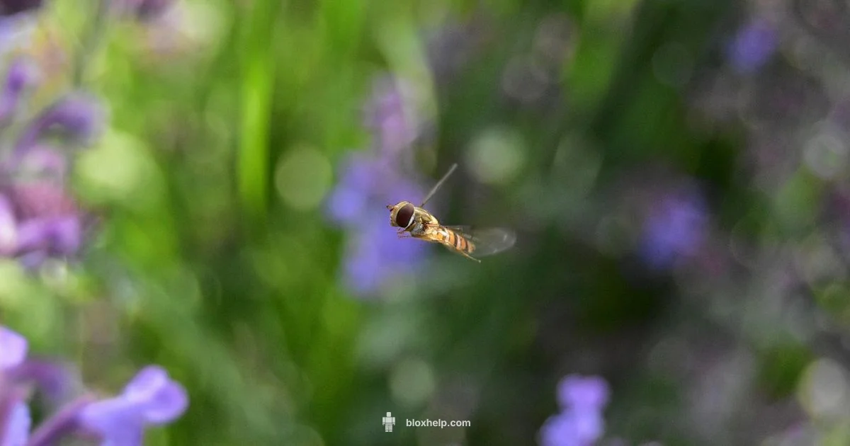 Flight Mechanics in Roblox Flight Mechanics in Roblox - Blox Help