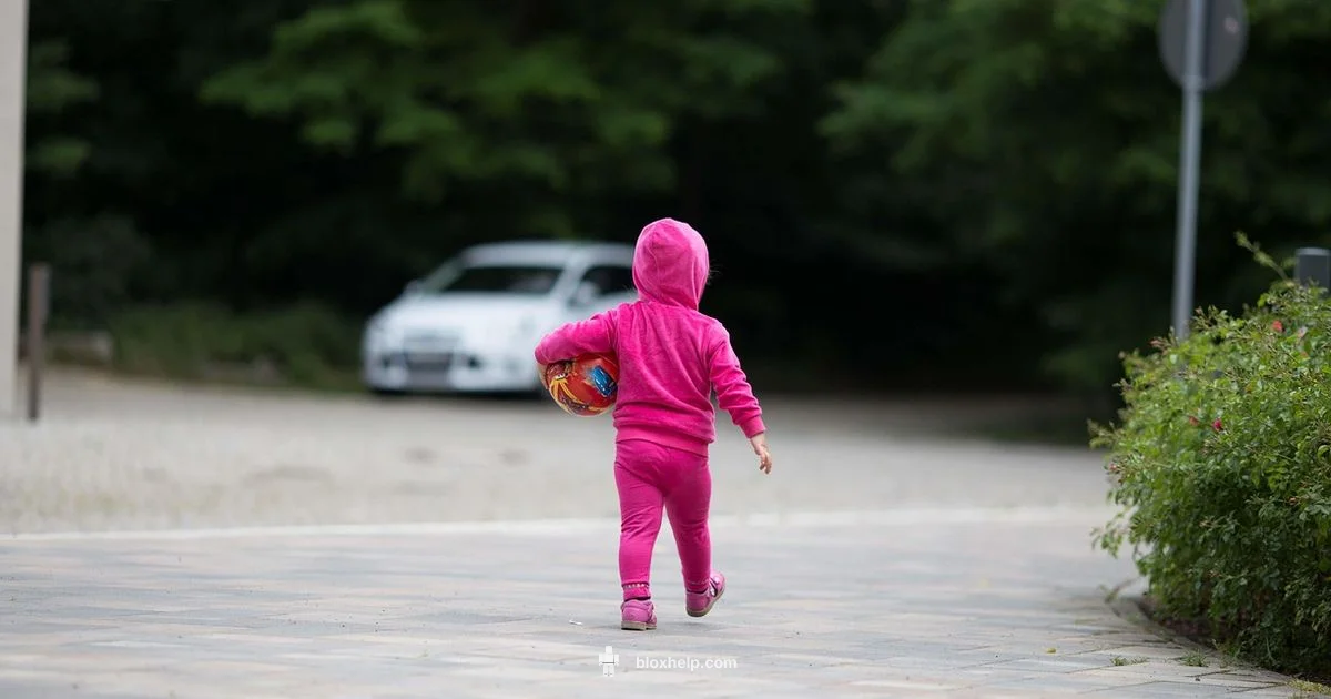 Roblox Safety Guide Roblox Safety Guide - Blox Help