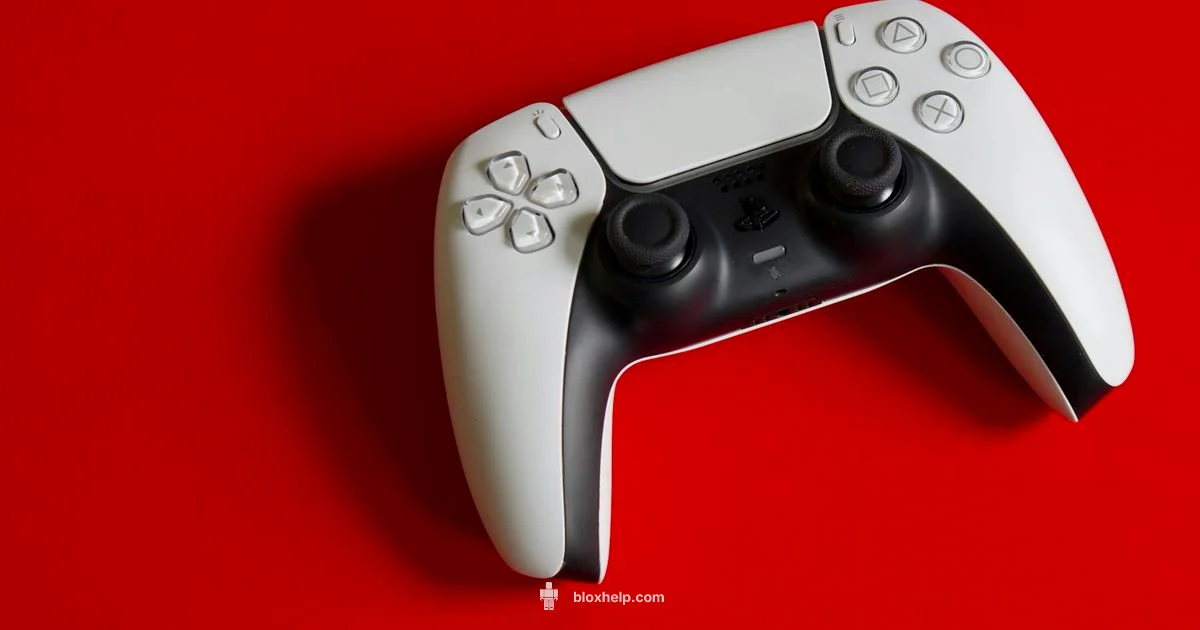 PS5 Roblox Setup - Blox Help