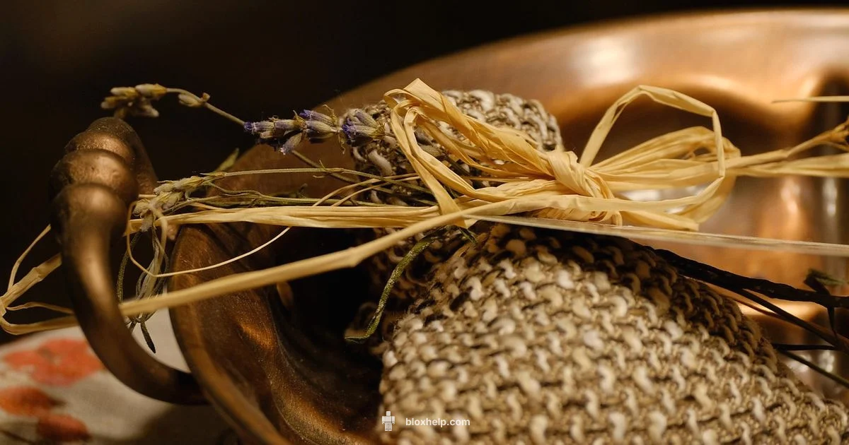 Robux Gift Guide - Blox Help