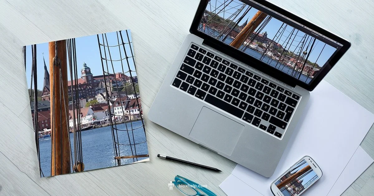 Shirt Template Guide - Blox Help