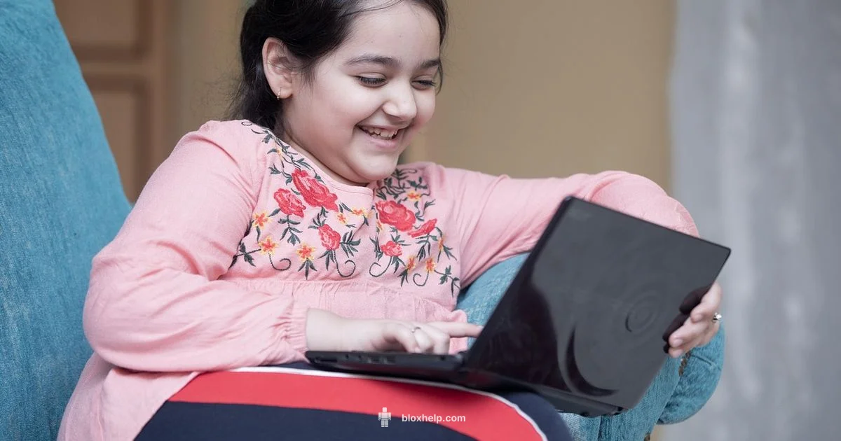 Play Online Roblox - Blox Help