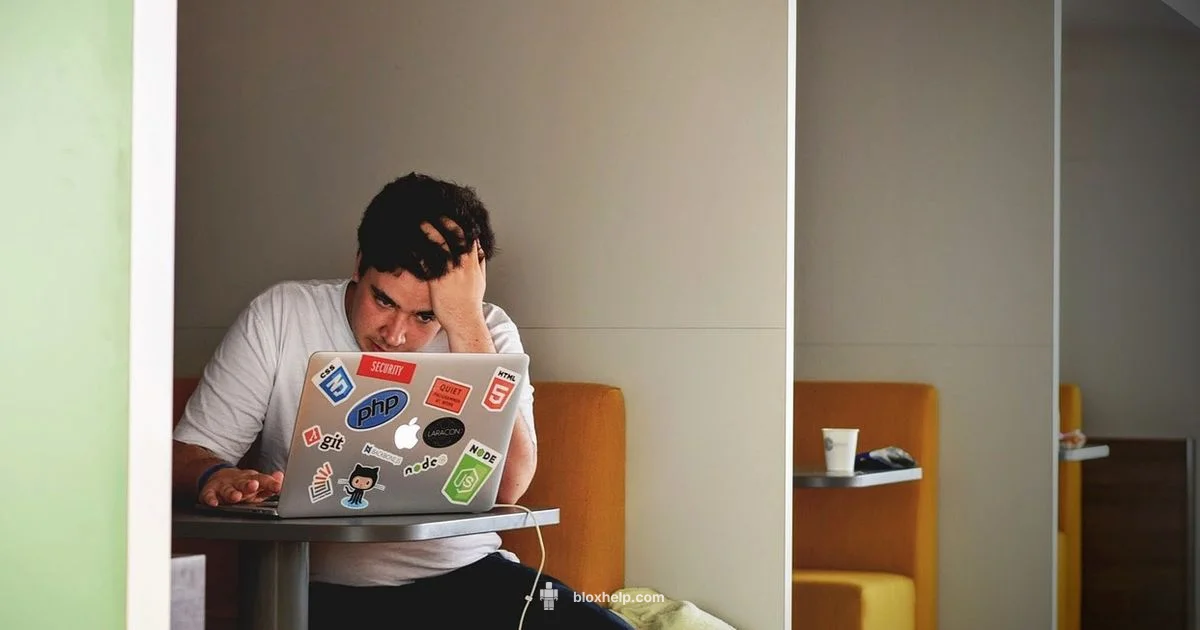 Roblox Not Work - Blox Help