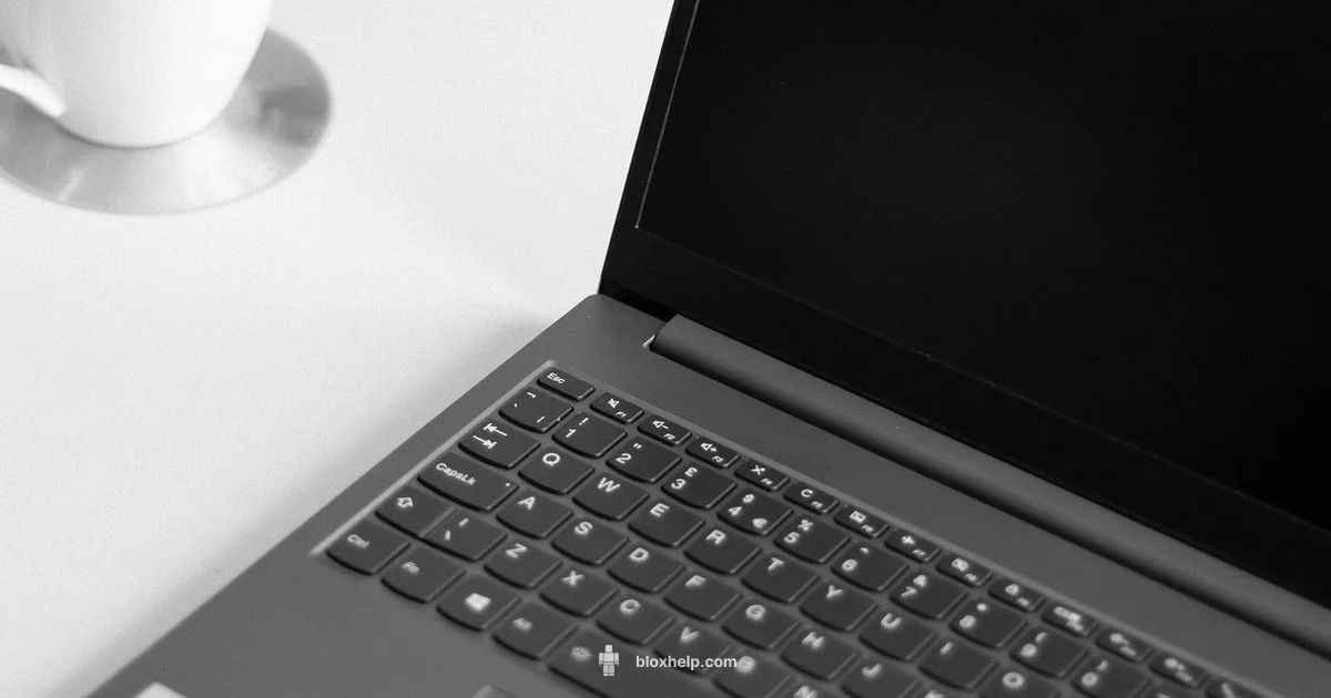 Roblox on PC - Blox Help