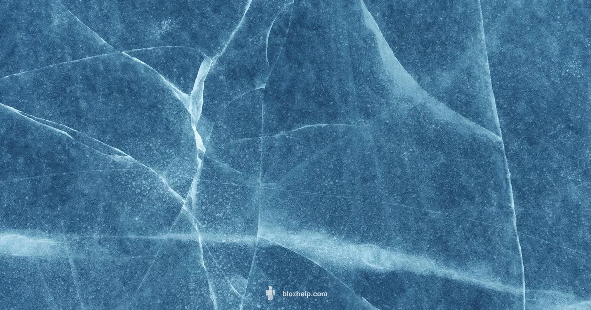 Backdrop Design Backdrop Design - Blox Help