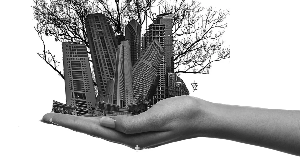 Accounts Overview - Blox Help