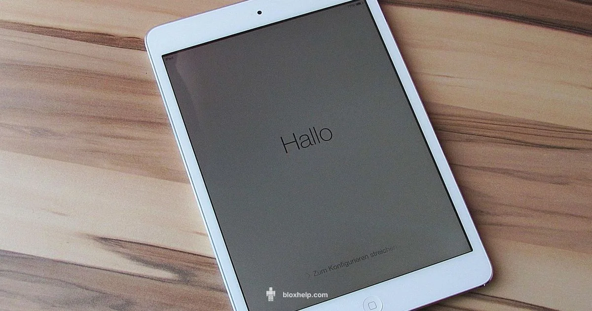 Studio on iPad - Blox Help