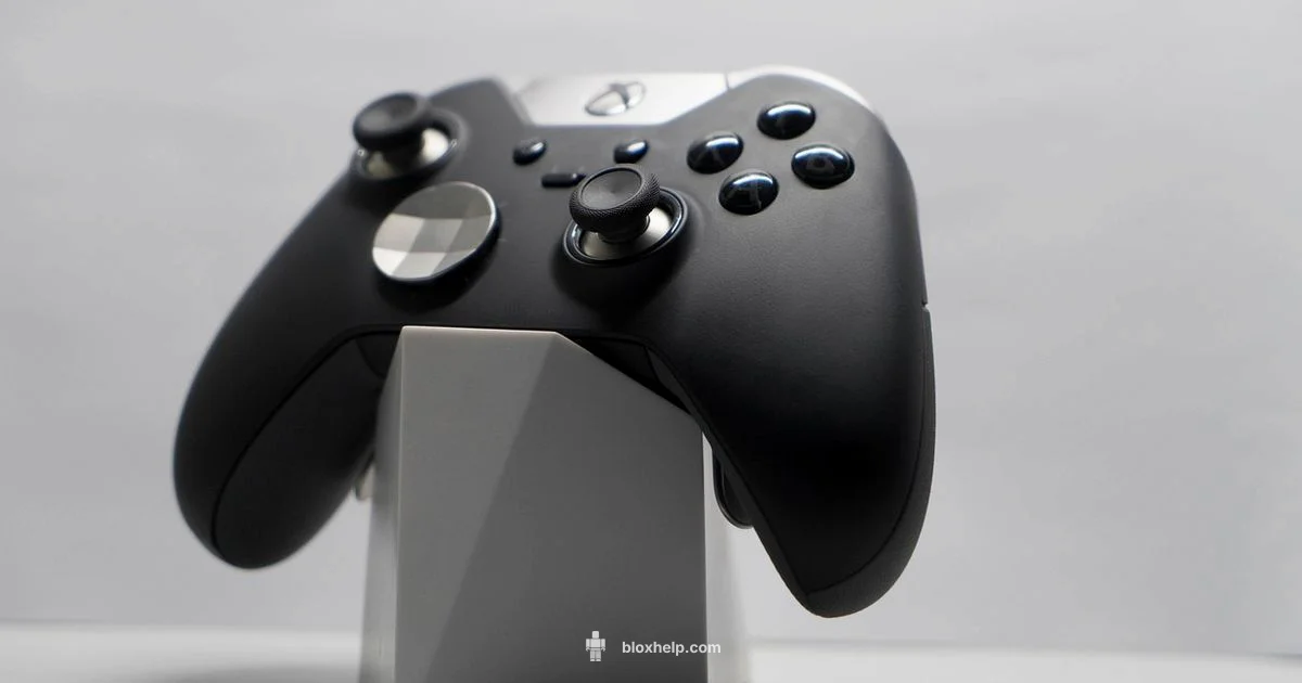 Roblox Private Xbox Guide - Blox Help