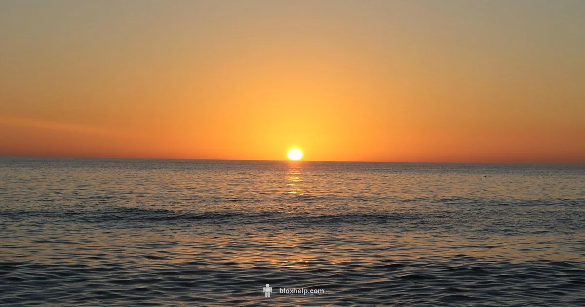 Southwest Florida Roblox Guide - Blox Help