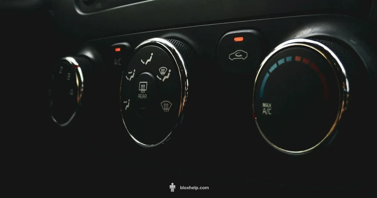 Roblox Dashboard Overview - Blox Help