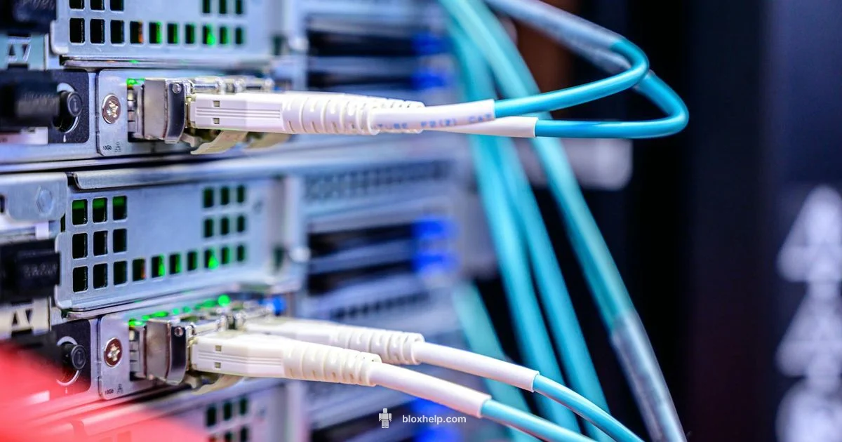 CDN Insight - Blox Help