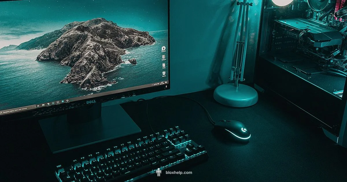 Roblox on PC - Blox Help