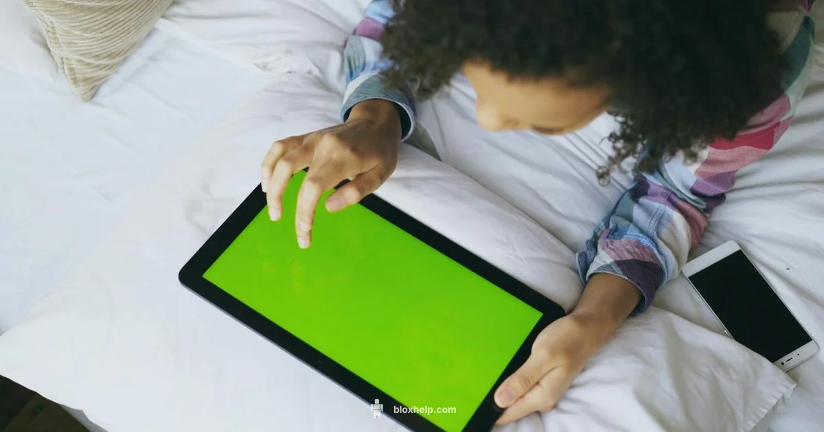 Roblox Safety Guide - Blox Help