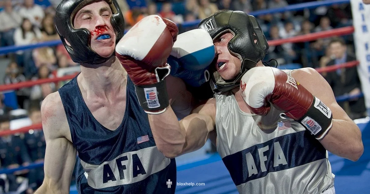 Boxing Codes Guide - Blox Help