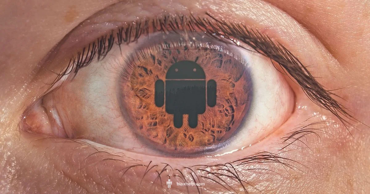 Safe Roblox Modding - Blox Help