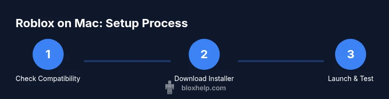 Process diagram showing Roblox on Mac setup steps