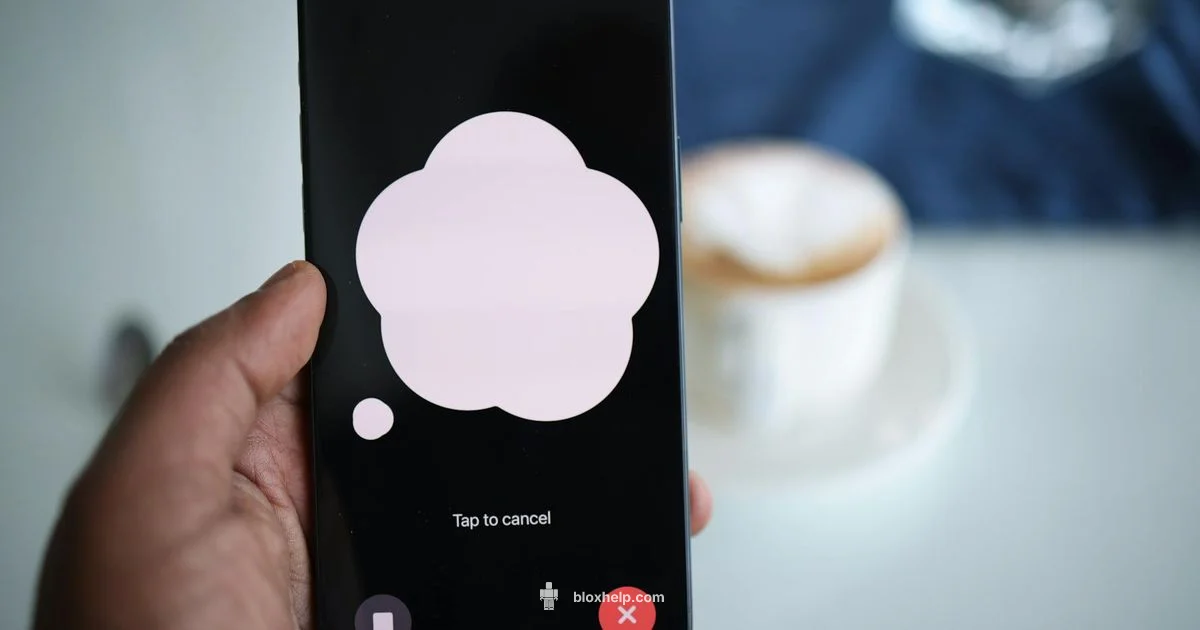 Roblox VC Setup - Blox Help