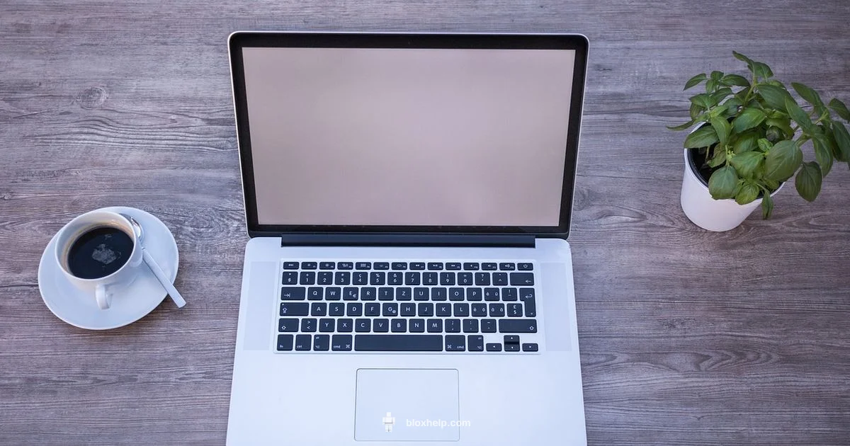 AFK Stability Guide - Blox Help